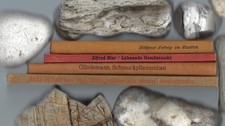 Alte gartenbücher den gebraucht kaufen  Gmund a.Tegernsee