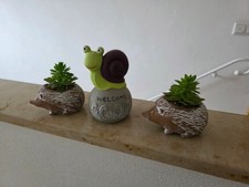 Dekofiguren igel schnecke gebraucht kaufen  Hepberg