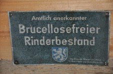 Altes blechschild 50er gebraucht kaufen  Limbach-Oberfrohna