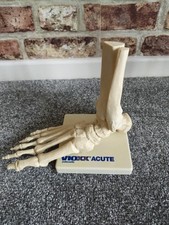 Life size human for sale  WALSALL