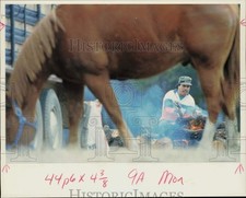 1992 press photo for sale  Memphis