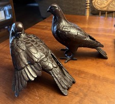 pigeon nice pigeons for sale pigeon nice pigeons for sale Seminole