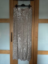 Champagne silver sequin for sale  TWICKENHAM