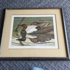 John ruthven canvasback for sale  Norwalk