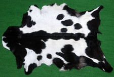 Usado, Novo Tapete de Couro de Cabra Cabelo na Área Tamanho 36"x24" Couro Animal Pele de Cabra G-493 comprar usado  Enviando para Brazil