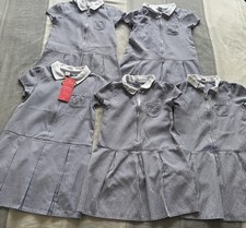 Girls blue gingham for sale  CARLISLE