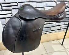 Medium ideal grandee for sale  LLANGOLLEN