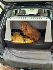 Large dog car for sale  WORKSOP