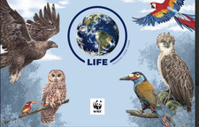 Life tcg birds d'occasion  Saint-Maur-des-Fossés