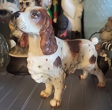 Cocker english spaniel for sale  Shenandoah