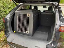Boxes dt1 dog for sale  ROTHERHAM