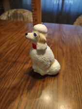 Poodle for sale  Edgerton