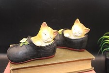 Tabby orange kittens for sale  Catonsville