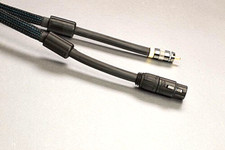 Straight wire expressivo gebraucht kaufen  Hauenstein