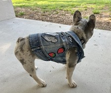 Handmade small dog for sale  Lake Mary