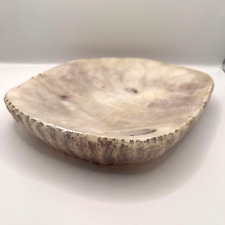 Large decorative petrified for sale  CHESTER LE STREET