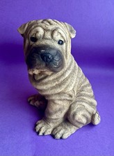 Gorgeous shar pei for sale  ROYSTON