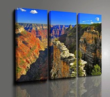Quadro etnico canyon usato  Ragusa