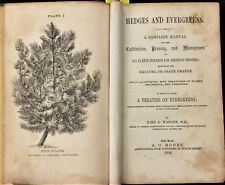 1858 antique HEDGES EVERGREENS GARDENING illustrated plants hedging tools 284pgs segunda mano  Embacar hacia Argentina