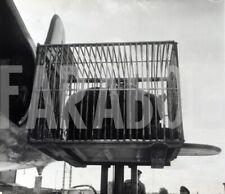 Vintage Press Photo Paris, Orly, Airport, Bear Gaucha, Print 17x12 cm comprar usado  Enviando para Brazil