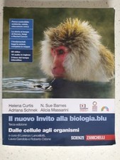 Nuovo invito alla usato  Reggio Calabria
