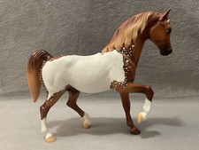 Custom traditional arabian for sale  Sioux Falls