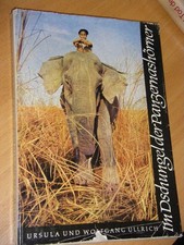 Dschungel panzernashörner ull gebraucht kaufen Dschungel panzernashörner ull gebraucht kaufen  Velbert