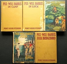 Lot pee wee for sale  Durango