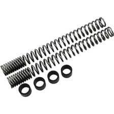 Molas de garfo de suspensão progressiva - M8 invertidas | 11-1156 comprar usado  Enviando para Brazil