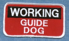 Working guide dog for sale  Cassville