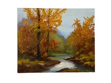 Vintage stream forest for sale  Kingman