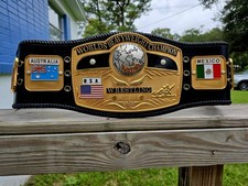 Nwa dome globe for sale  Jacksonville
