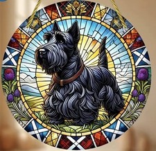 Scottish terrier scottie for sale  UK