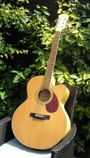 Freshman fa300jem electro for sale  DUNDEE