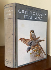 Arrigoni degli oddi usato  Firenze