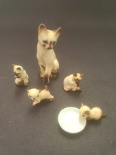 siamese kittens for sale siamese kittens for sale Cranberry Township
