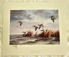 David maass limited for sale  Granville