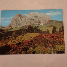 Alpe siusi verso usato  Bari