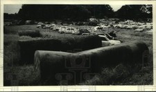 1986 press photo for sale  Memphis