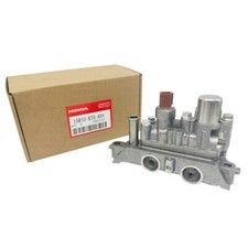 Oem 15810 r70 for sale  Hebron