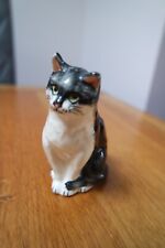 babbacombe cat for sale babbacombe cat for sale BROADSTONE