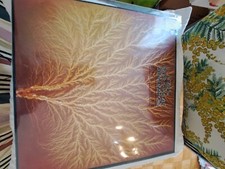 Vinile van der usato  Serravalle Sesia