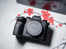 Sony full frame usato  Santa Croce sull'Arno