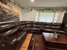 Large dark brown for sale  Minneapolis