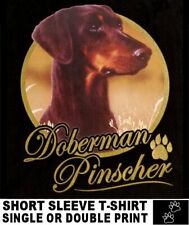 Classy cool doberman for sale  Cape Coral