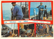 Manche peche mer d'occasion Manche peche mer d'occasion  France