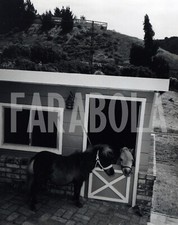 Vintage cavalli california usato  Roma