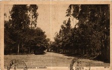 Lambary CPA. Alameda do Parque Wenceslau BRASIL (622090) comprar usado  Enviando para Brazil