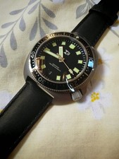 Titanium style turtle for sale  MIRFIELD