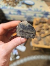 Meteorite primitive achondrite for sale  Opp